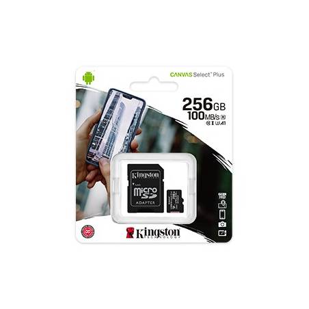 KINGSTON - Carte mémoire microSD Canvas Select Plus 256 Go