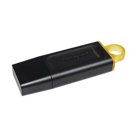 KINGSTON - Clé USB - 128 Go USB Type-A 3.2 Gen 1 (3.1 Gen 1) Noir