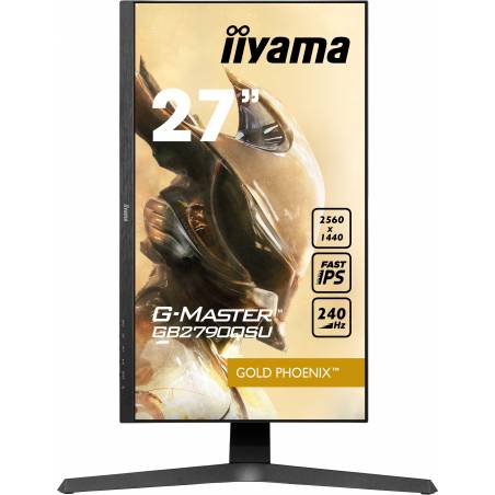 Iiyama - Ecran Gaming G-MASTER Gold Phoenix 240Hz 27